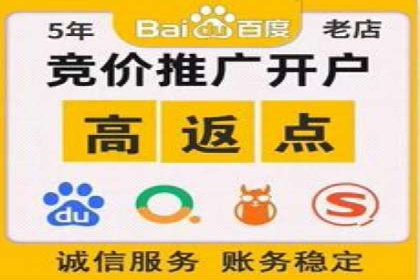 SEM推广案例：打造高效广告投放方案